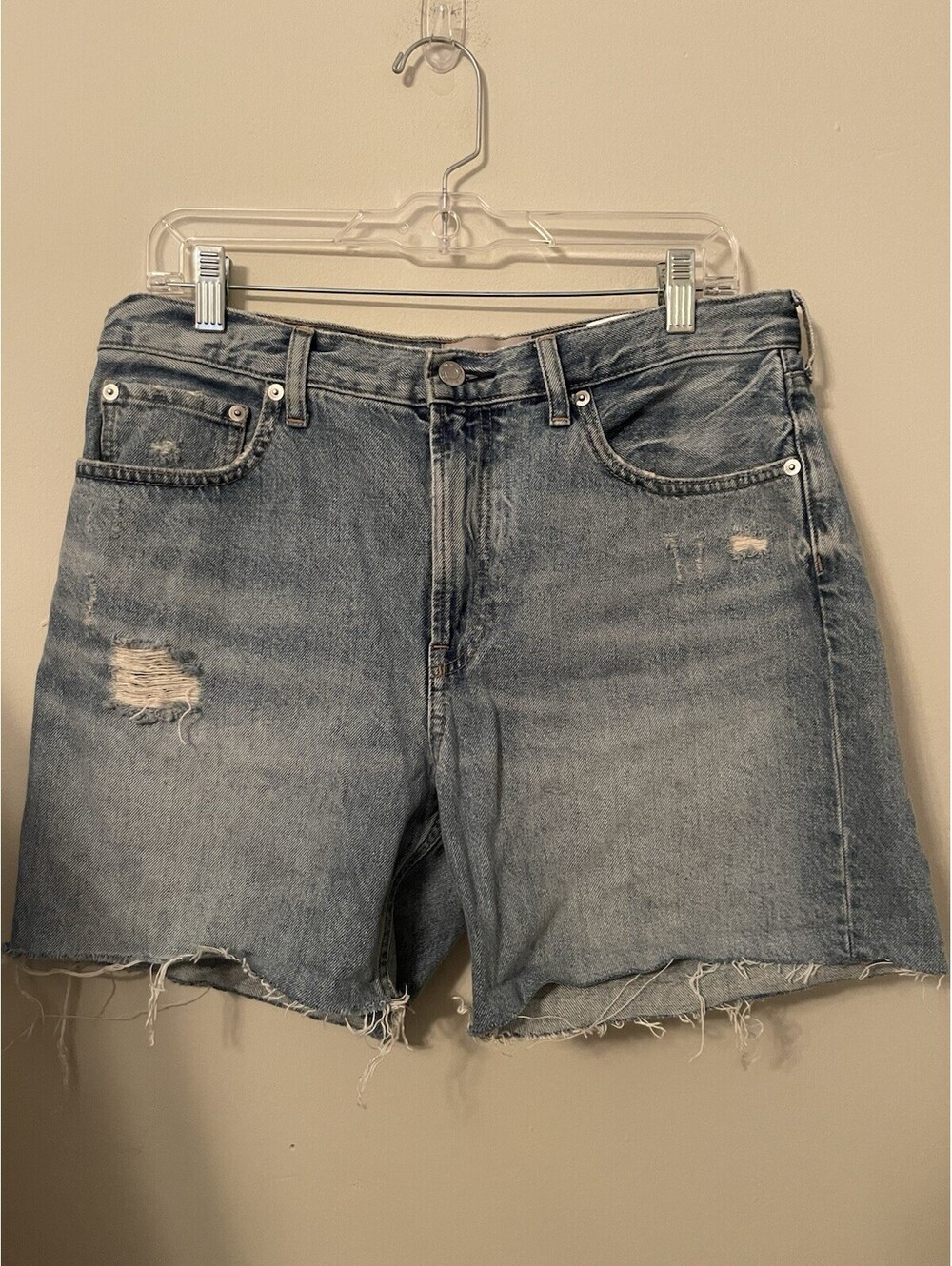 Everlane TheDenim Short Size 29 Raw Hem Shorts